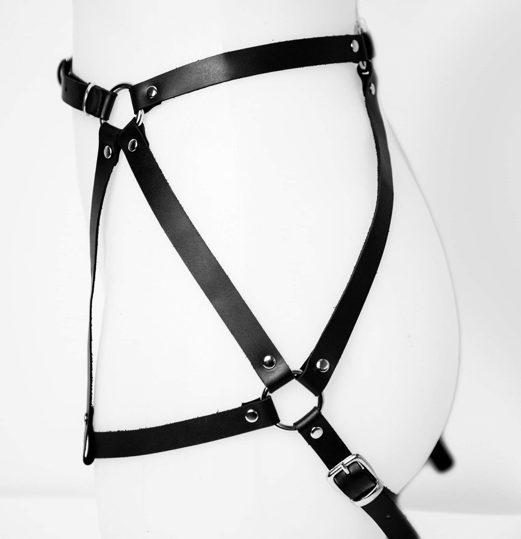 Leather Harness Naughty Habits